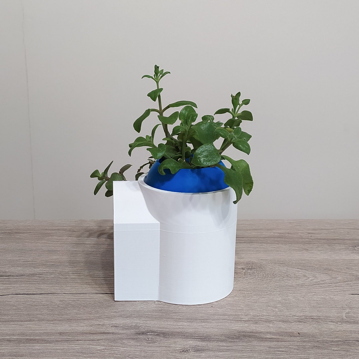 The Vista Dome - Convertible Planter - 3D Printed Greek Decor