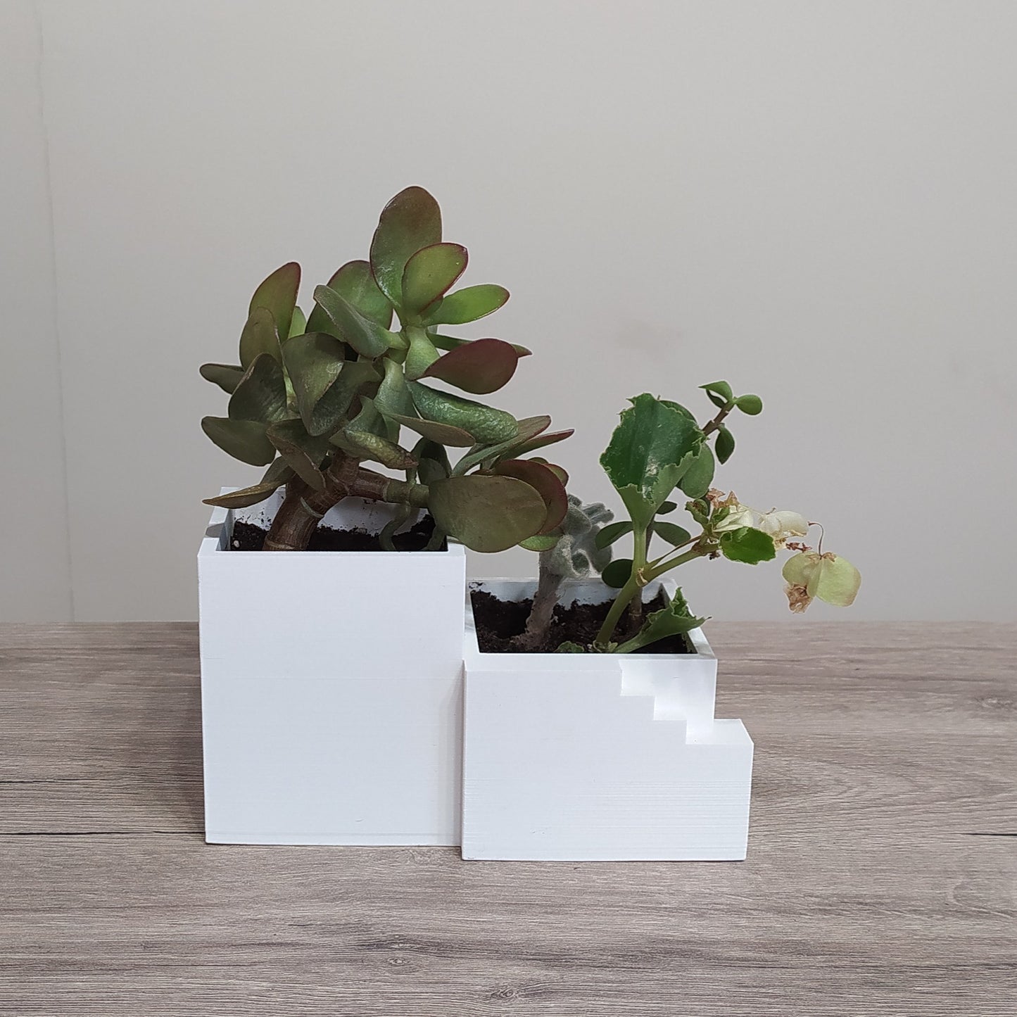 The Mediterranean Villa -  Split Level Planter - 3D Printed Greek Decor