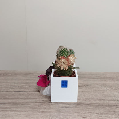 The Village Plaza - Triple Planter - 3D Printed Greek Decor