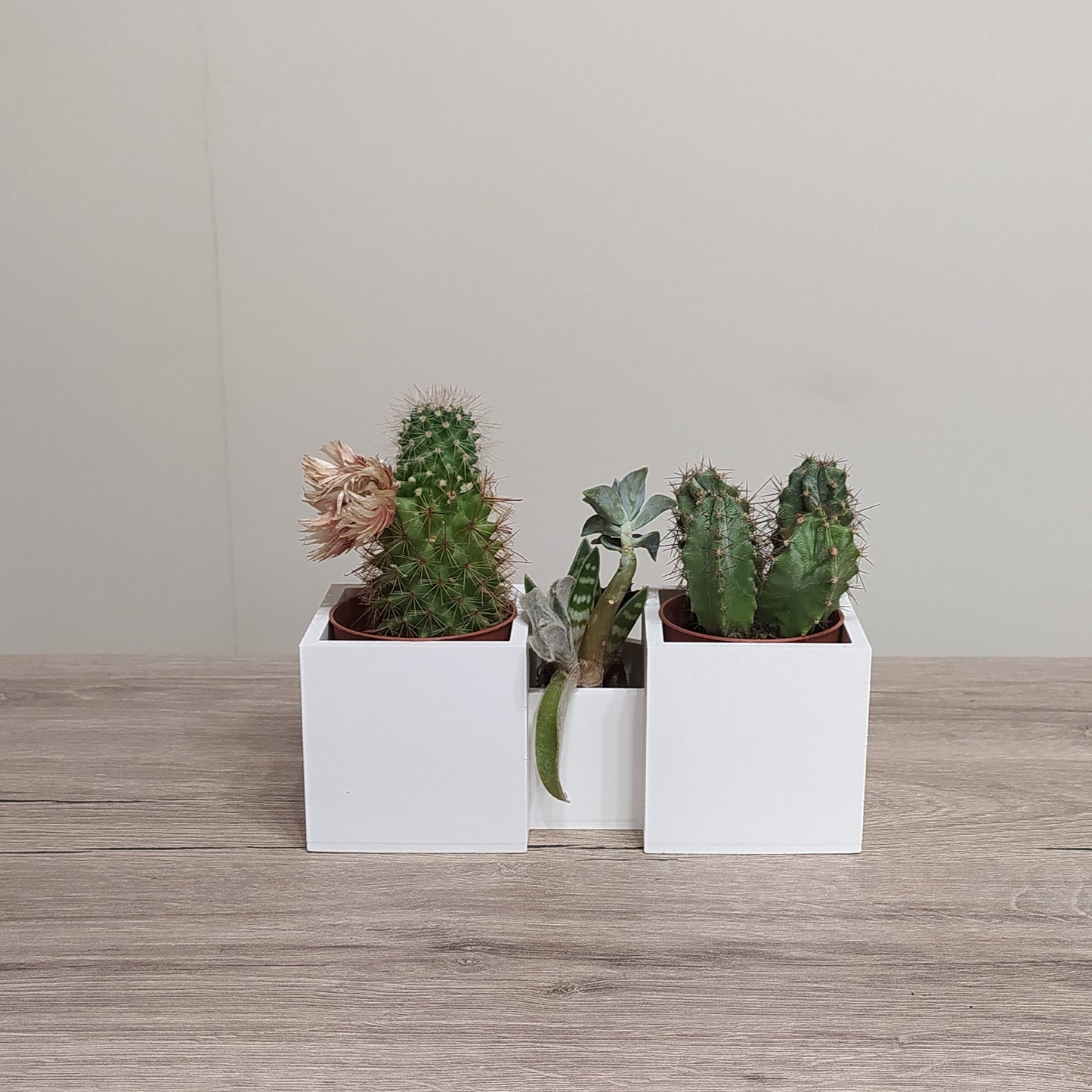 The Village Plaza - Triple Planter - 3D Printed Greek Decor