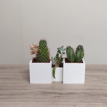 The Village Plaza - Triple Planter - 3D Printed Greek Decor