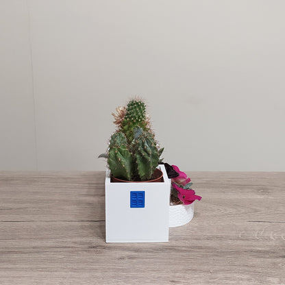The Village Plaza - Triple Planter - 3D Printed Greek Decor