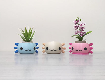 Blue axolotl planter,cute axolotl head figurine and pink axolotl planter with tray, 3D printed desk organizer, 3D Printed cute animal planter