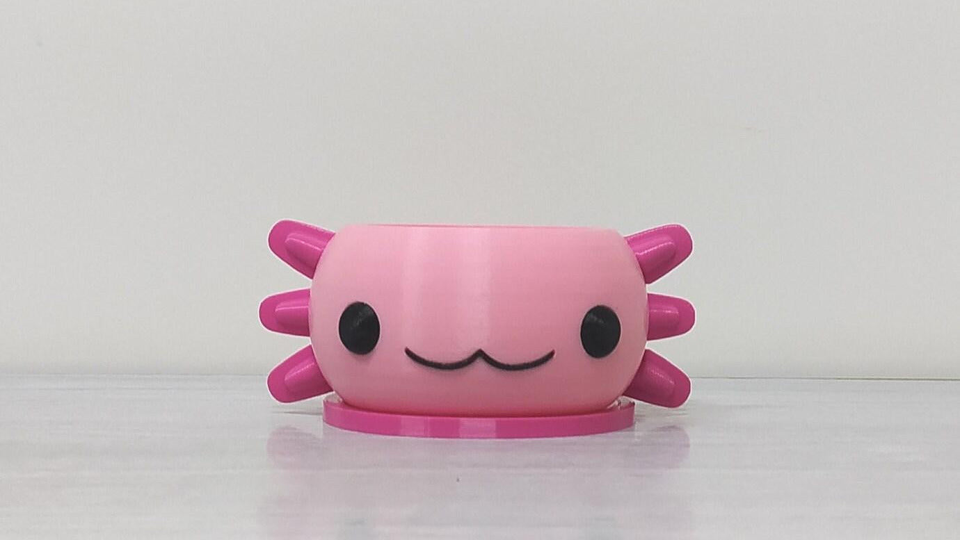 Pink axolotl planter, 3D printed planter with tray for small plants and succulents