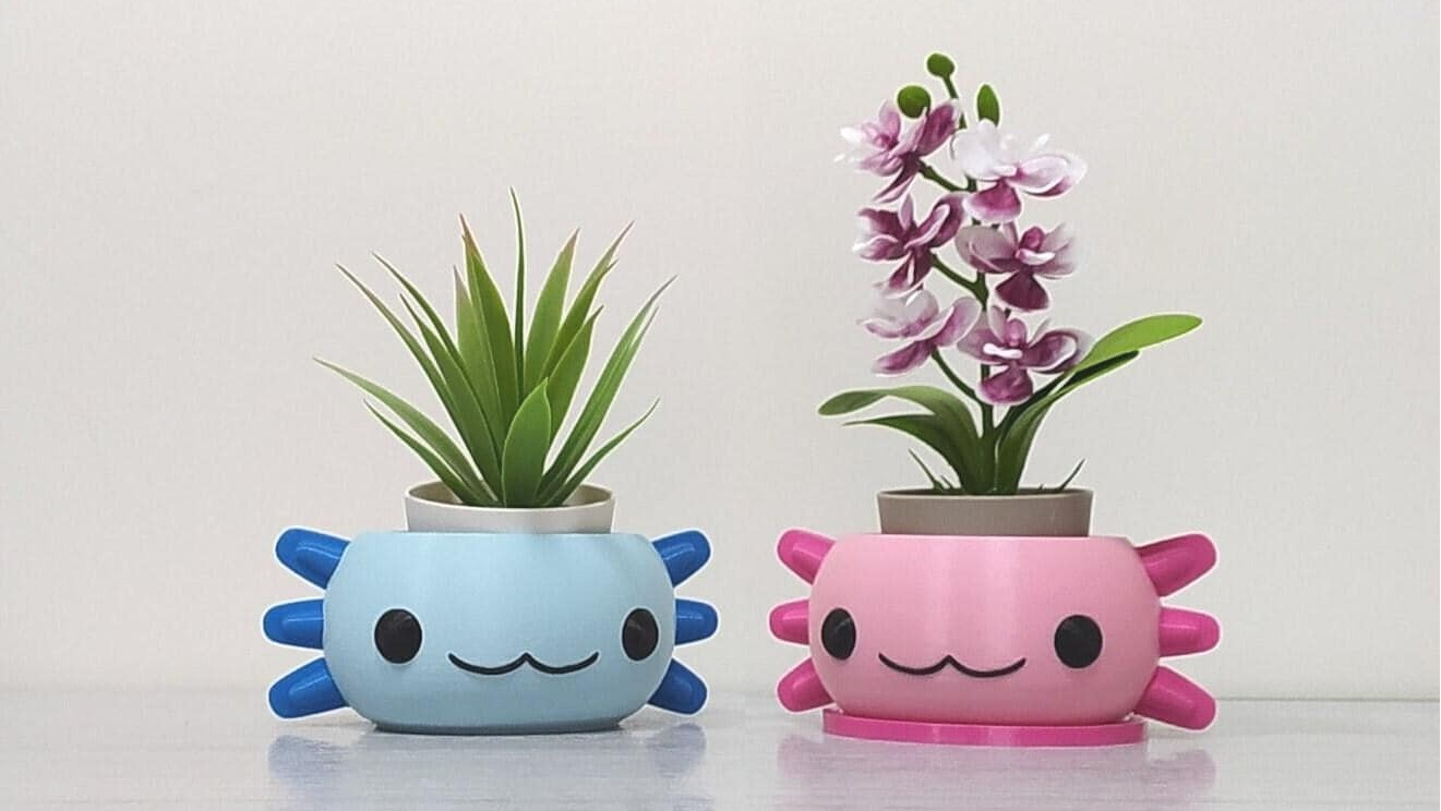 Blue and pink axolotl planters, 3D printed desk organizer for small plants and succulents